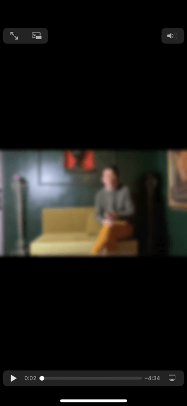 動画の内容を確認する