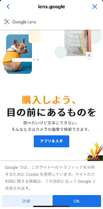 公式サイトの表示