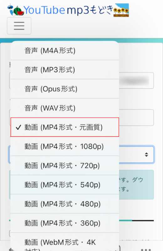 ファイル形式を選択する