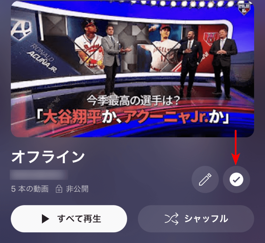 動画がダウンロードされた